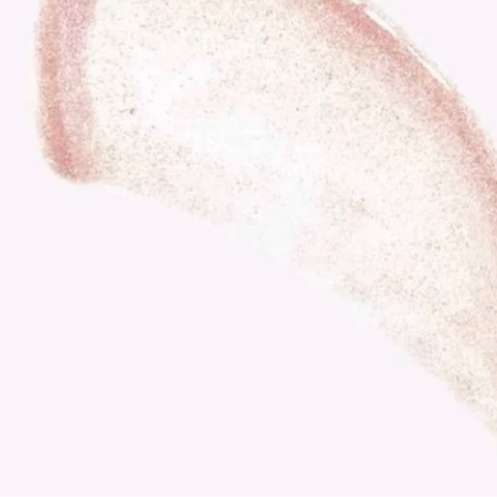 tarteist
shimmering lip paint - insta famous
